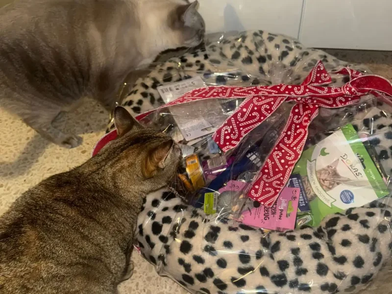 cvsonferrer-cesta-navidad-ganador5