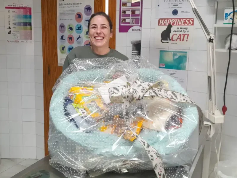 cvsonferrer-cesta-navidad-ganador6