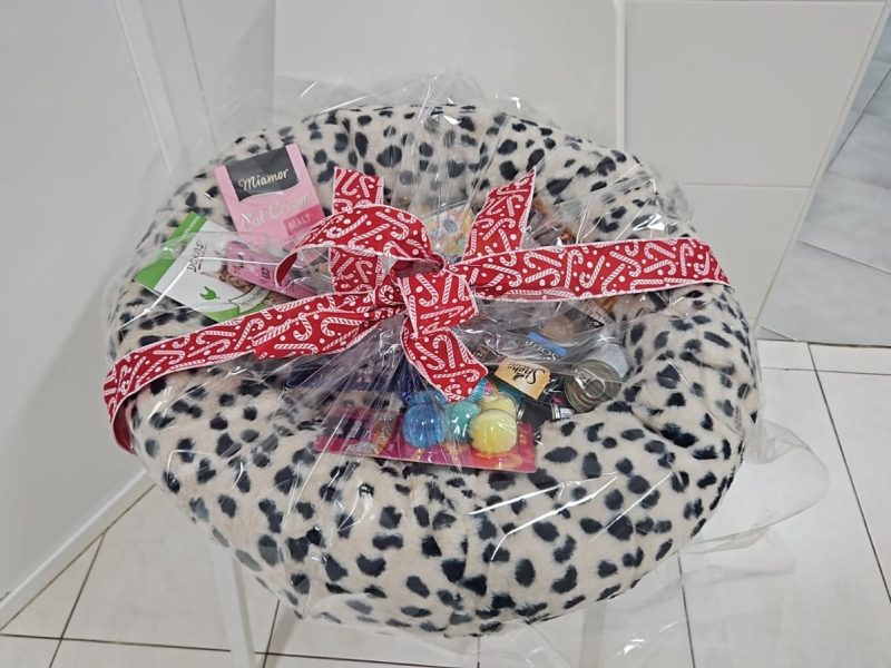 cvsonferrer-cesta-navidad-gatos