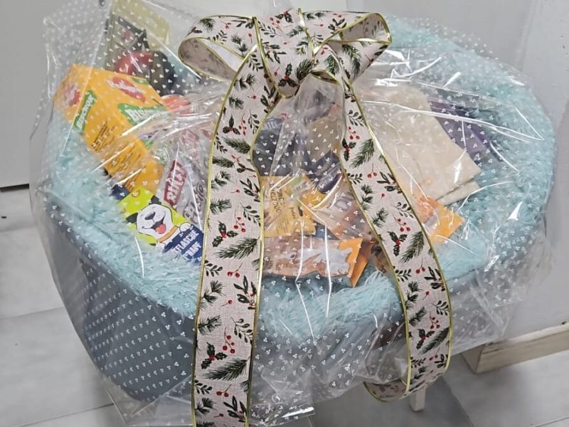 cvsonferrer-cesta-navidad-perros