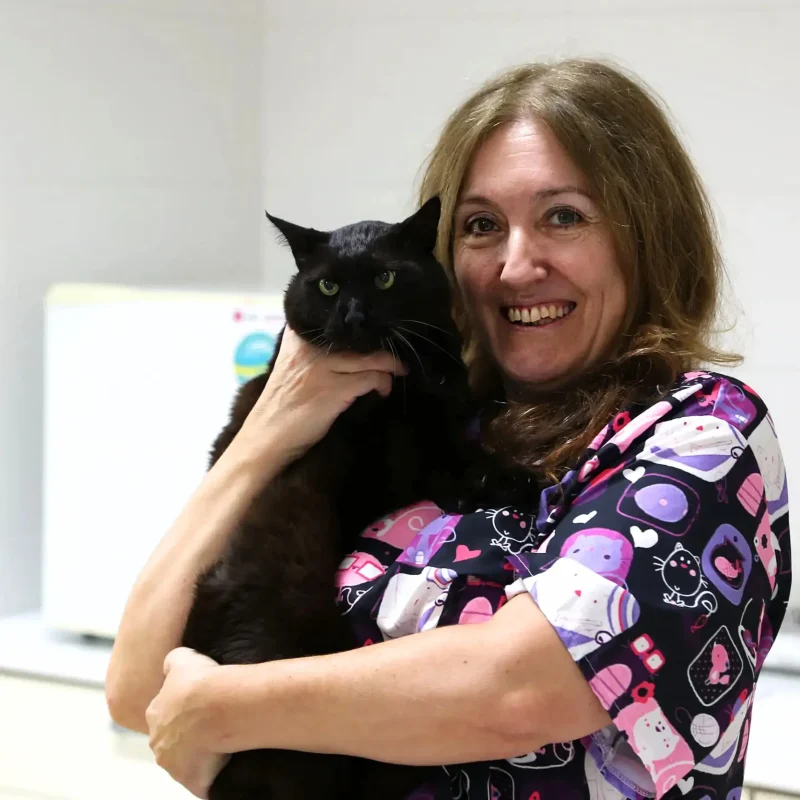 cvsonferrer-equipo-gato Francisca Martínez, Veterinaria y Gerente de Clínica Veterinaria Son Ferrer