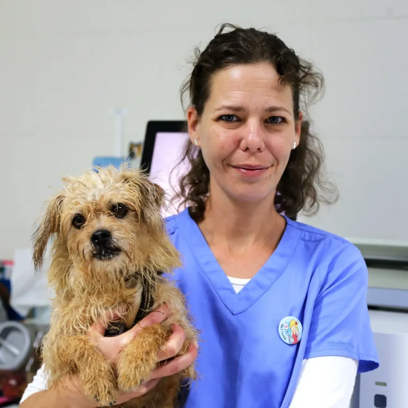 cvsonferrer-equipo-mascota