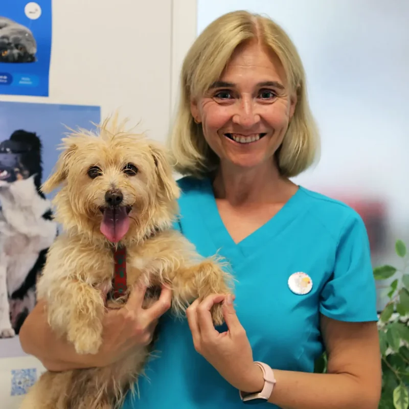 cvsonferrer-equipo-mascota2