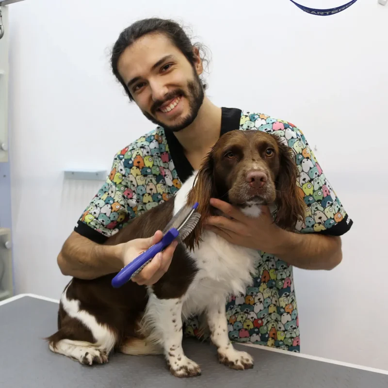 cvsonferrer-equipo-mascota5