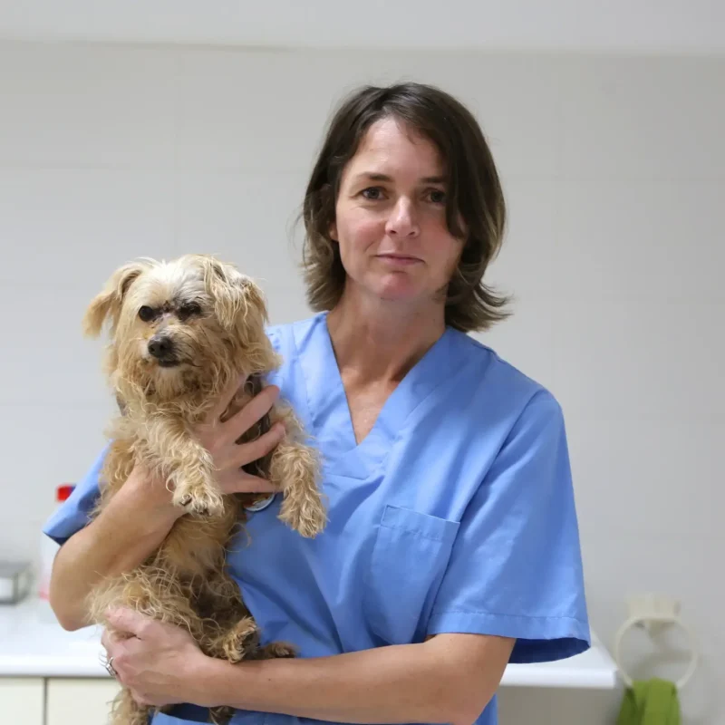 Martina Pisarcikova, Auxiliar Veterinaria de Clínica Veterinaria Son Ferrer