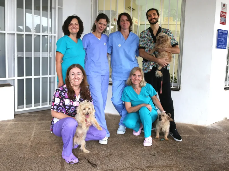 cvsonferrer-equipo-mascotas cvsonferrer-equipo-mascotas